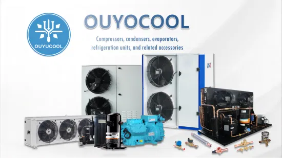 China High Quality Fixed-Speed/Inverter Refrigerator Compressor for Refrigerator Ice Maker Car Refrigerator